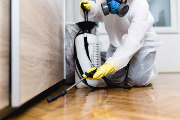 Best Ant Control Services  in Riverton, UT