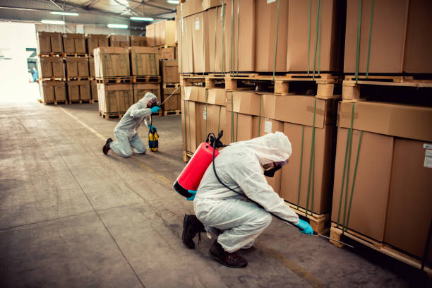 Best Best Pest Control Companies  in Riverton, UT