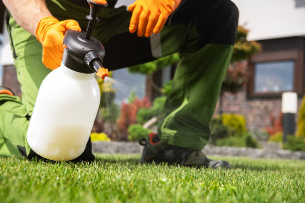 Best Wasp Removal Services  in Riverton, UT