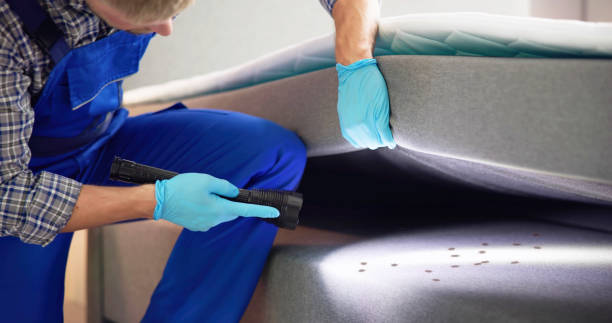 Best Rat Extermination Near Me  in Riverton, UT