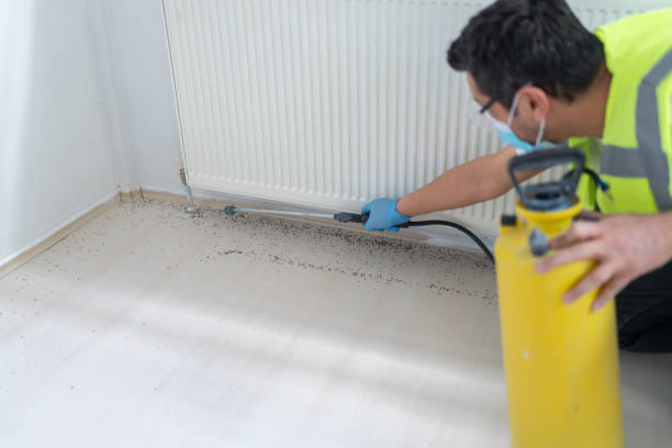 Best Mosquito Control Services  in Riverton, UT